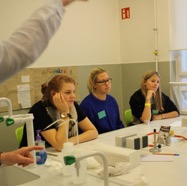 pest082.jpg