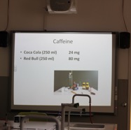 pest047.jpg